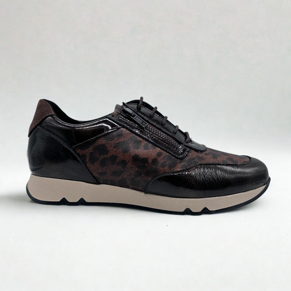 Zapato Doctor Cutillas